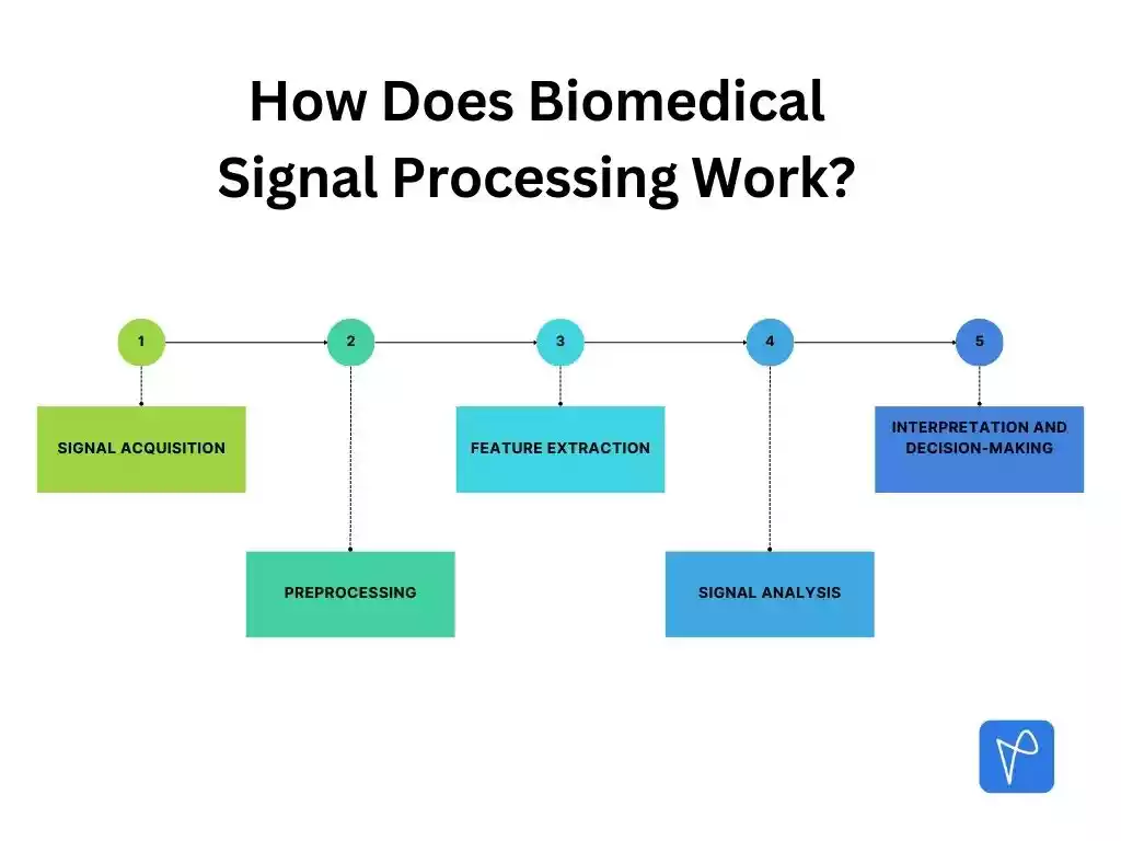 What is Biomedical Signal Processing?