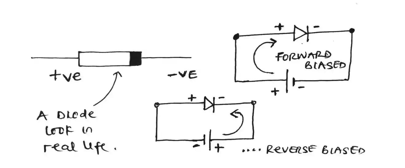 forward and reverse biasing of a diode