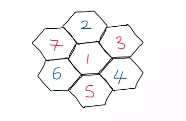 hexagonal cells